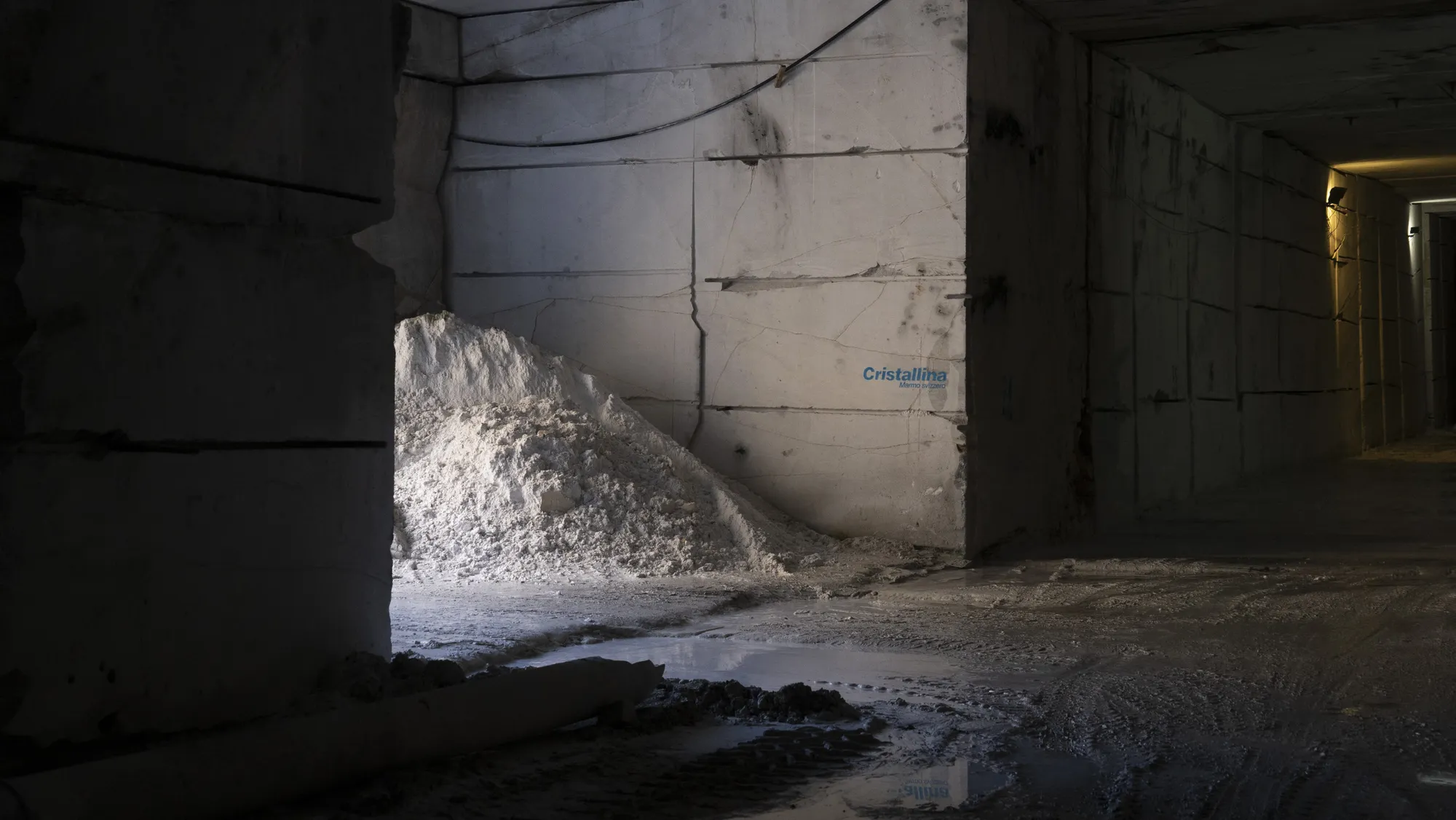 regenerative image 1